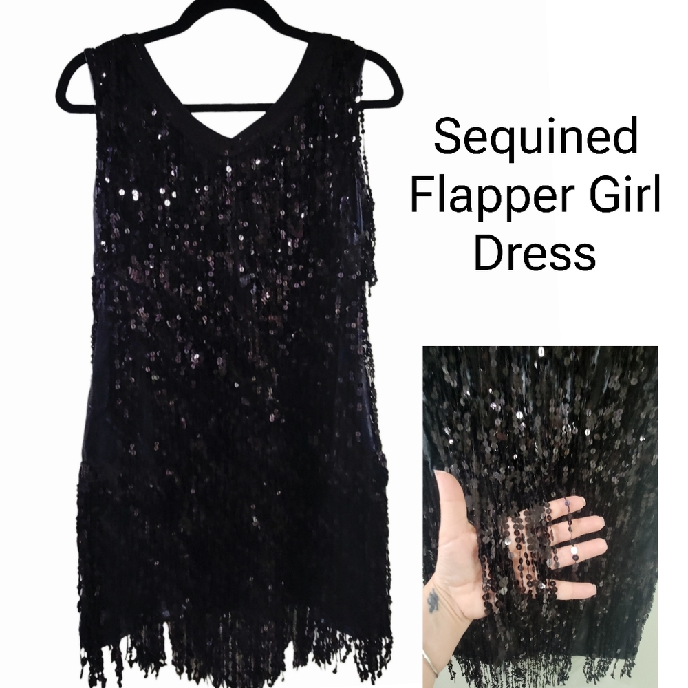 🎀CLEARANCE🎀 20's Flapper Girl dress stretchy dress with tassels of sequins.